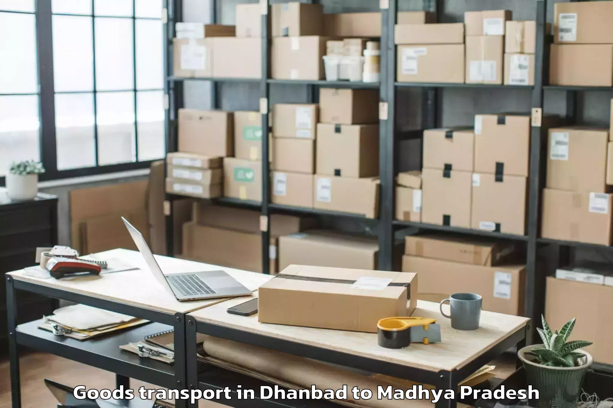 Reliable Dhanbad to Sironj Goods Transport